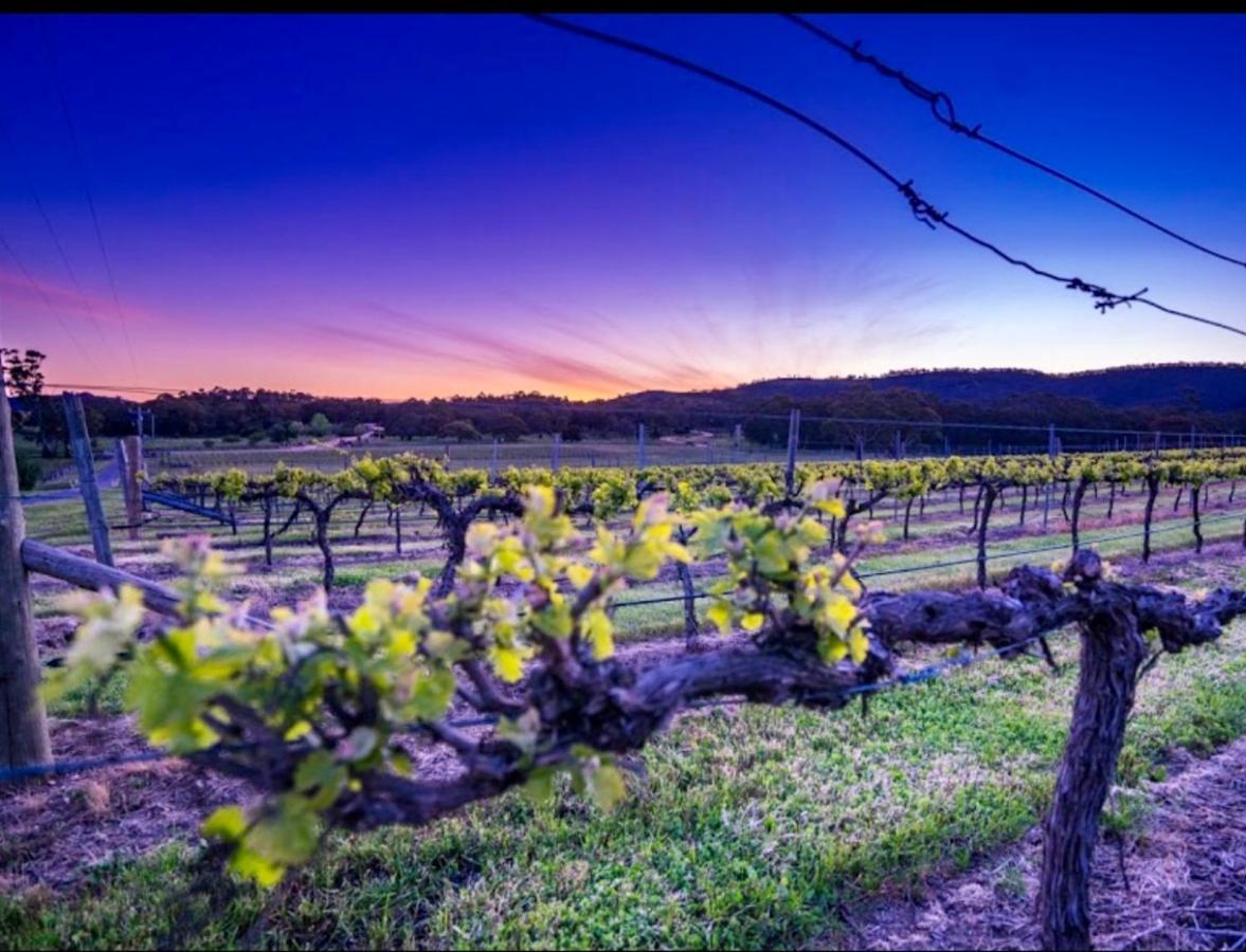 #Grampians Views Getaway #Cbd #Netflix Lejlighed Stawell Eksteriør billede